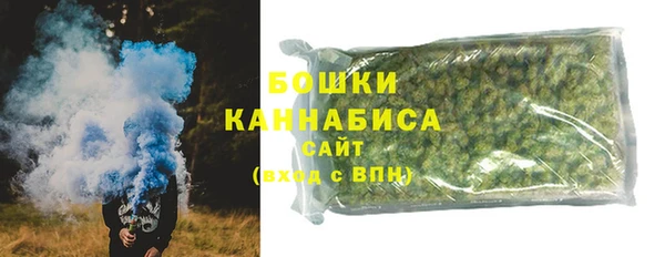 прущие грибы Вязники