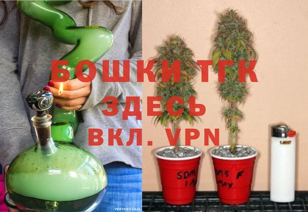 прущие грибы Вязники