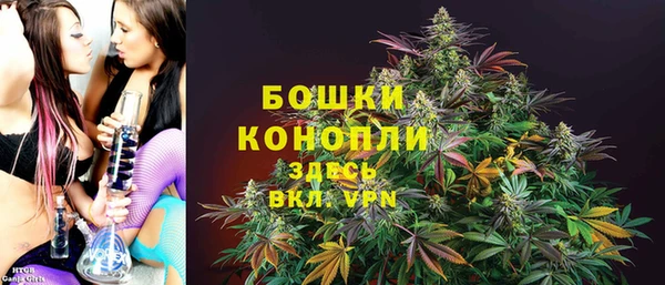прущие грибы Вязники