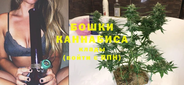 прущие грибы Вязники