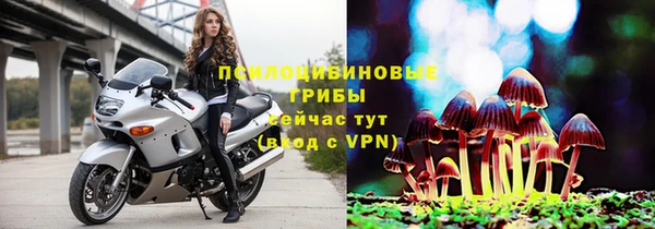 mix Вяземский