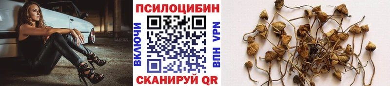 Галлюциногенные грибы Magic Shrooms  Купить где  Суздаль 